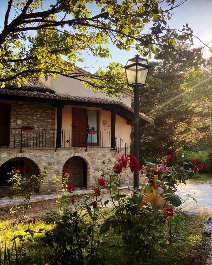 منزل الضيف Piano Delle Pieve  في Le Querce Di Assisi المظهر الخارجي الصورة
